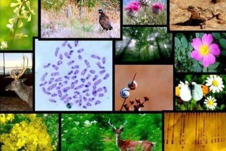 تدوین طرح پایش تنوع ریستی کشور