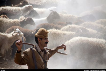 سمنان| کوچ زودهنگام عشایر استان سمنان