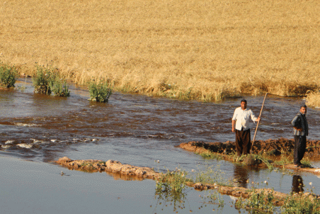 لرستان| کشاورزان چشم‌به‌راه حل مشکلات