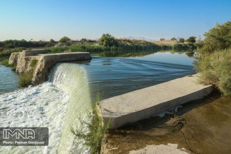 جریان حیات در رگ‌های گاوخونی