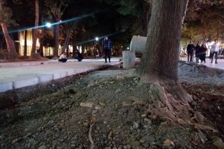 شیرابه سیمان‌کاری، بلای جان درختان چهارباغ