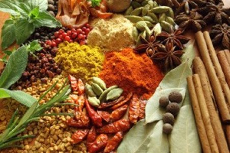 چه گیاهان دارویی در دوران بارداری بخوریم؟