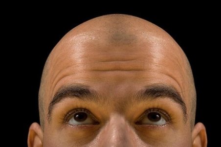 اولین بانک موی جهان تاسیس شد