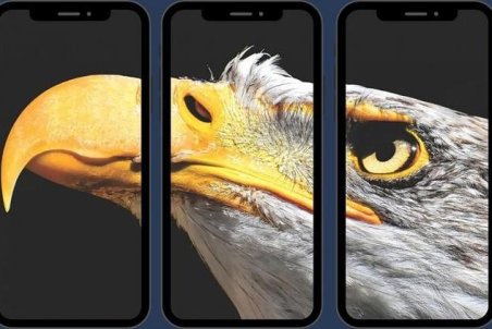 چگونه یک عقاب با ارسال پیامک از ایران، روس‌ها را ورشکست کرد؟