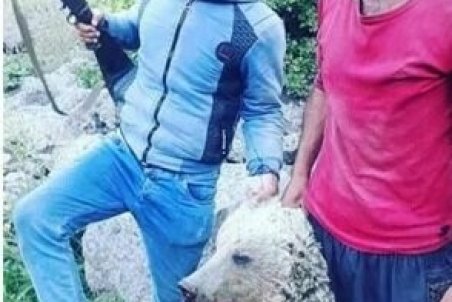 عاملین انتشار عکس کشتار خرس در ماکو شناسایی شدند