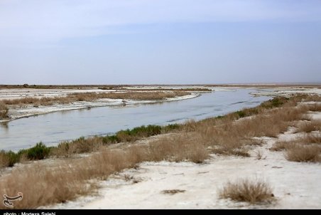 عدم تخصیص حق‌آبه زیست محیطی مهم‌ترین علت خشکی تالاب گاوخونی است