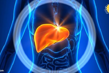 بهترین میوه‌ها برای درمان کبد چرب