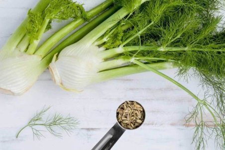 معرفی خواص رازیانه به همراه عوارض جانبی