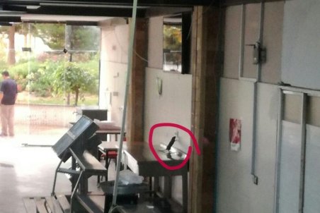 ماجرای وجود موش در سلف دانشگاه خواجه نصیر چه بود؟+ عکس