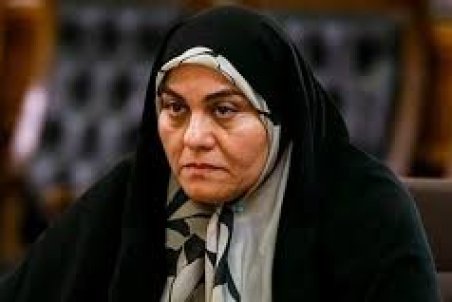 سعیدی: قبح‌زدایی از چندهمسری مشکوک است