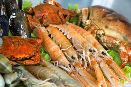 ماجرای استفاده از آبزیان حرام‌گوشت در کنسرو‌ها و رستوران‌ها؛ از شایعه تا واقعیت