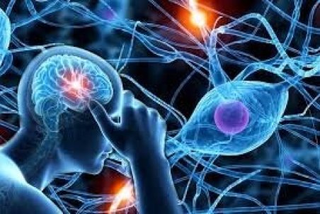 روزانه ۴۰۰ ایرانی سکته می‌کنند/بیشترین مبتلایان به ام اس تهرانی و اصفهانی هستند