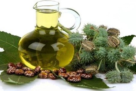 از بین بردن کک‌ومک با روغن کرچک