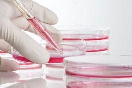 ذخیره خون بند ناف به چه درد می‌خورد؟