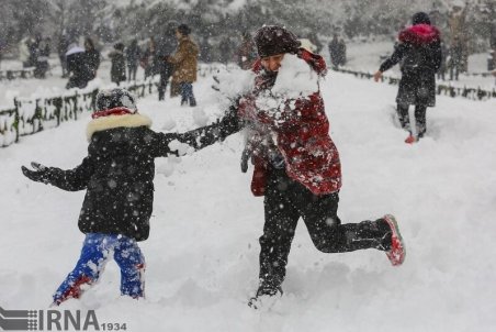 زنجان| دردسر شیرین