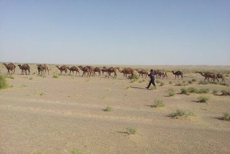قزوین| شکل‌گیری نمکزاری به وسعت ۱۴ هزار هکتار در آبیک