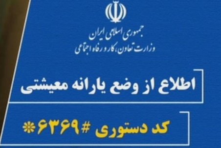 مشکل مشترکان ایرانسل و رایتل برای ثبت‌نام در سامانه #۶۳۶۹* برطرف شد