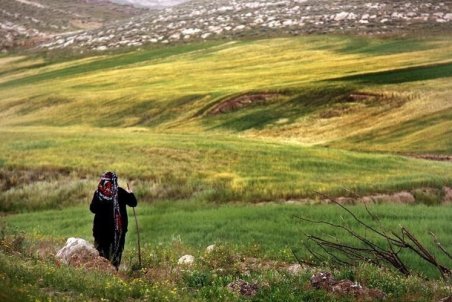 زنان آموزش زیست‌محیطی را بهتر به خانواده انتقال می‌دهند
