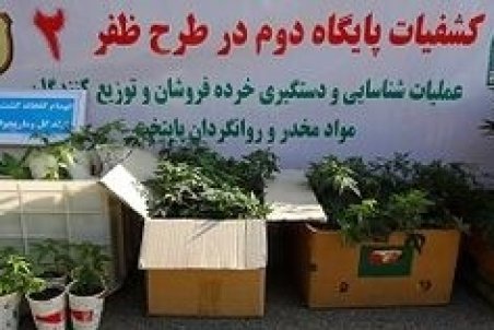 آیا "گُل" اعتیاد آور است؟