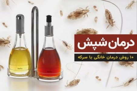 10 روش رفع شپش سر