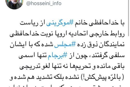 کنایه وزیر احمدی‌نژاد به نمایندگان مجلس