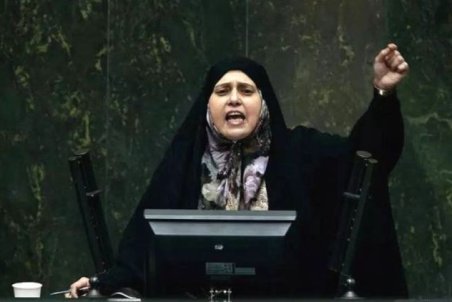 توییت پروانه سلحشوری درباره نطق جنجالی‌اش در مجلس