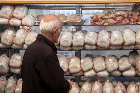 بازار مرغ در شرایط عادی قرار دارد + جدول قیمت مرغ