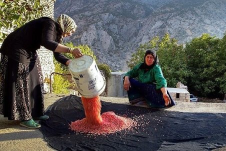 چهارمحال و بختیاری| توسعه گردشگری با یاقوت‌های قرمز