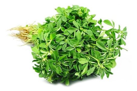 14 خواص شگفت انگیز شنبلیله؛ طبع شنبلیله چیه؟