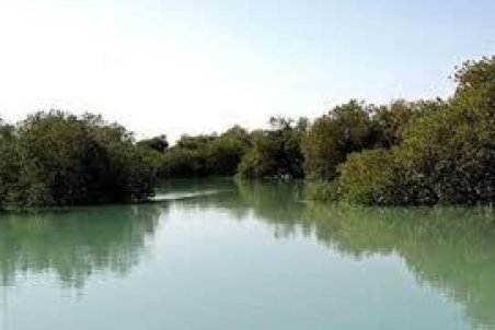 پارک دریایی نخیلو ثبت جهانی شد