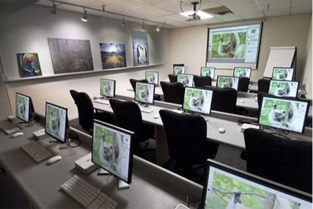 کمتر از ۵۰ مدرسه لاکچری داریم/چه کسانی به مدارس لاکچری می روند؟