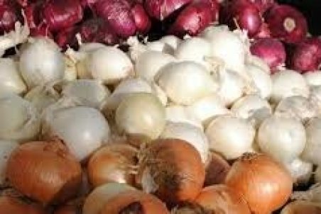 رییس اتحادیه: گران شدن پیاز موقتی است