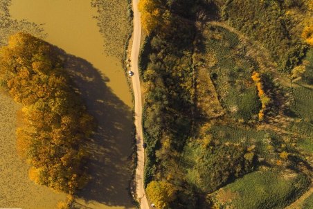 تفکر قطع درخت باید از ذهن ما خارج شود