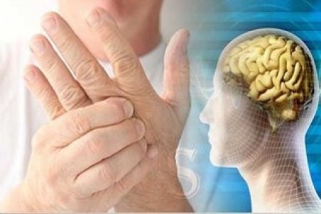 پروبیوتیک بخورید تا MS نگیرید