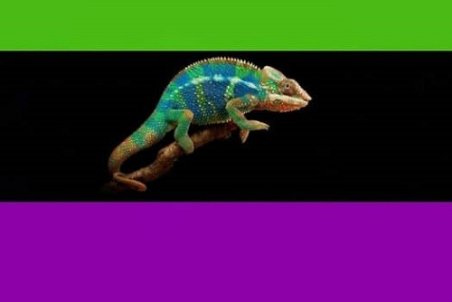 پست جدید سیروان خسروی علیه سلبریتی ها