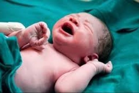 نوزاد نیم کیلویی در قم بدنیا آمد