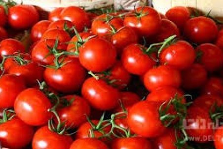 گوجه‌فرنگی کیلویی چند؟!