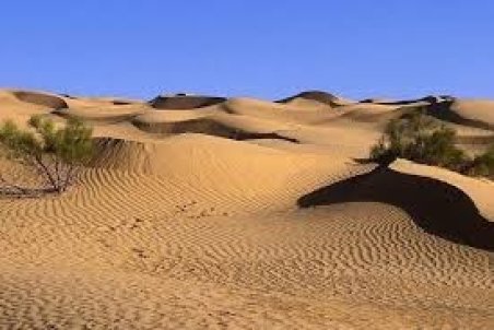 موفقیت بیش از 90 درصدی پروژه‌های بیولوژیکی در استان قم