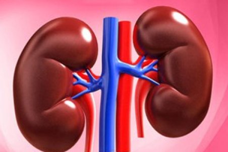 علل و راه‌ های درمان نارسایی کلیه را بشناسیم