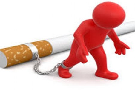 اجرای طرح «یاریگران زندگی» در دانشگاه علوم پزشکی قم