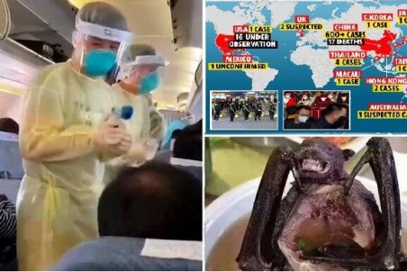 منشاء ویروس کرونا؛ از سوپ خفاش و مار تا توله گرگ و غذای دریایی