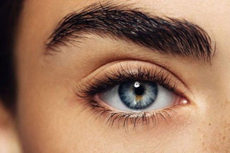 ابروی پرپشت می‌خواهید؟!