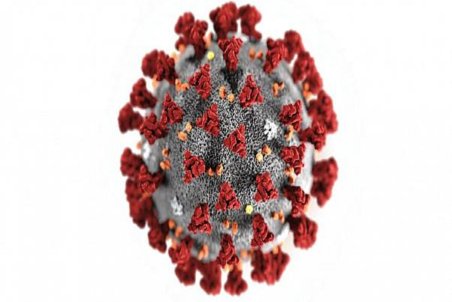 «کرونا» شبیه کدام بیماری است؟