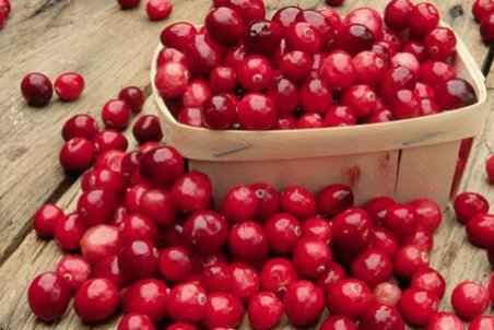 ﻿ آشنایی با خواص زغال اخته و نحوه مصرف آن