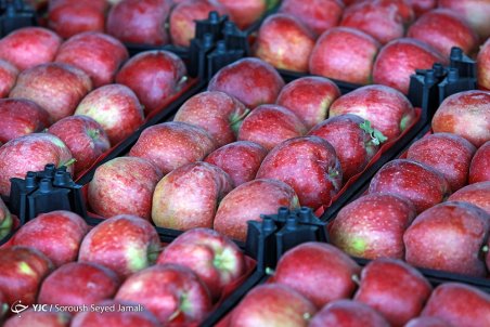 نحوه عرضه میوه شب عید امسال اعلام شد / پای میوه‌های لوکس به هفت سین ۹۹ باز می‌شود!