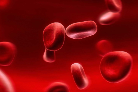 حقیقت‌هایی درباره کم خونی که باید بدانیم