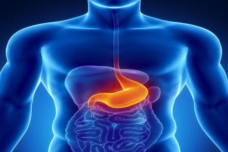 روش‌های جلوگیری از ترش کردن معده
