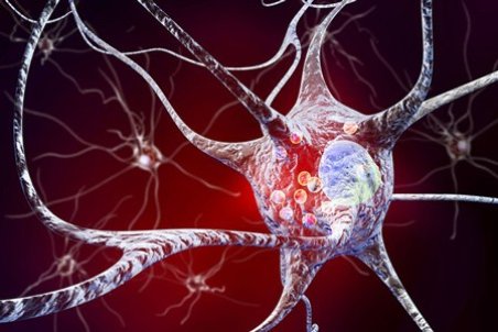 پارکینسون چیست و آیا کشنده است؟ علت، علائم و درمان آن