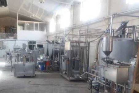 تولید بستنی با شیر خشک فاسد!