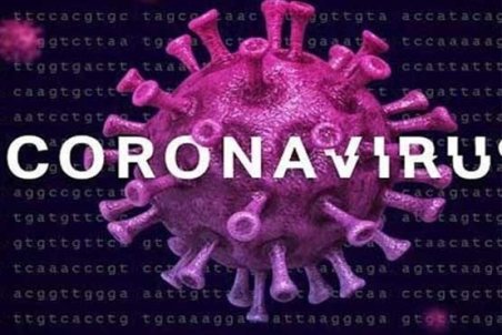 آمار مبتلایان به «کرونا» در استان البرز به ۳ نفر رسید